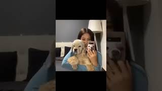 Jennie Kai moment that makes me laugh 😂| Jennie vlive | #blackpink #rosé #jennie  #lisa #shorts