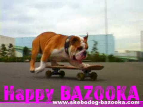 Tokyo skateboarden bulldog bazooka