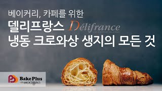 베이커리, 카페를 위한 델리프랑스(DELIFRANCE) 냉동 크로와상 생지의 모든 것.