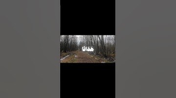 وما لنا ألا نتوكل على ٱلله 🤍 #قرآن #قران_كريم #محمد_صديق_المنشاوي #سورة_إبراهيم