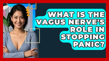 What Is The Vagus Nerve