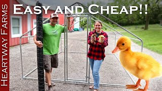But is it Durable?? CHEAP portable Duck Hut / Chicken Tractor Kit from Amazon!