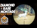 Diamond & Rare Montage #2  | theHunter: Call Of The Wild