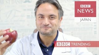 レバノンのリンゴを救え　レシピ共有してみんなで食べよう