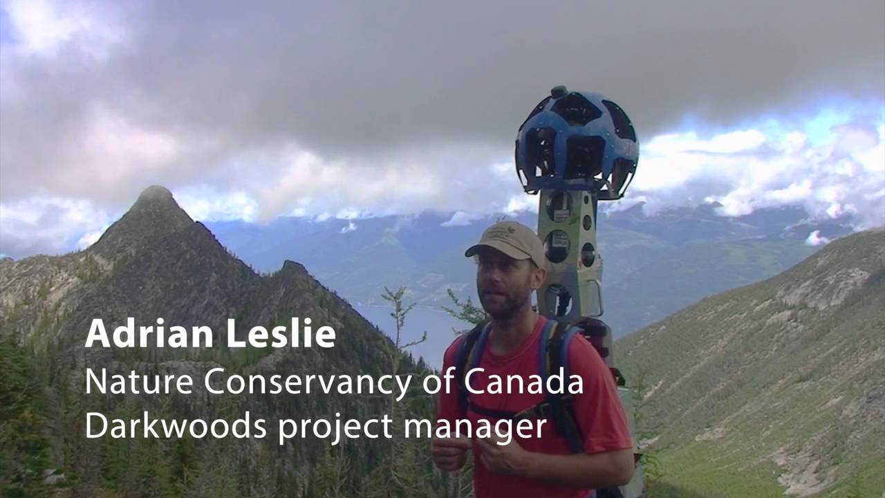nature kpop Mapping Darkwoods with Google Trekker