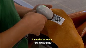 Introducing ITTA Leather Cutting System