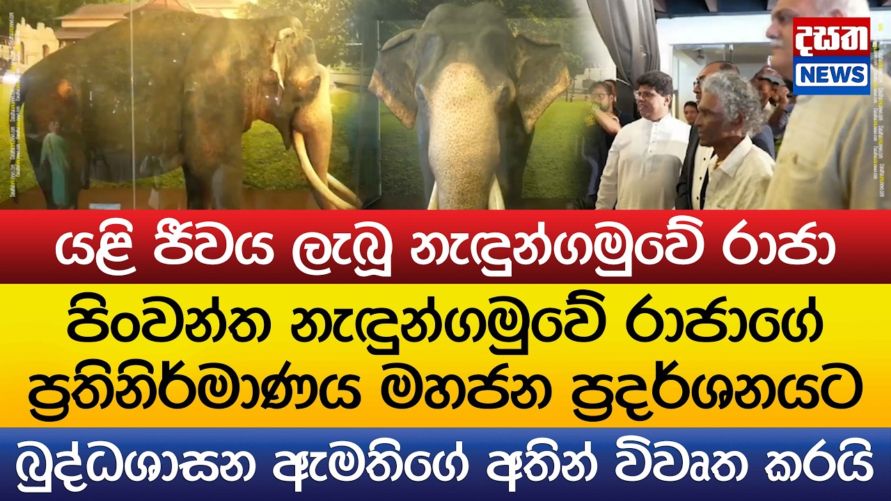 Король Недунгамуве, который воскрес