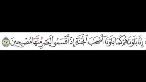 سورة القلم  الآية 16 17