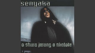 Kholwa