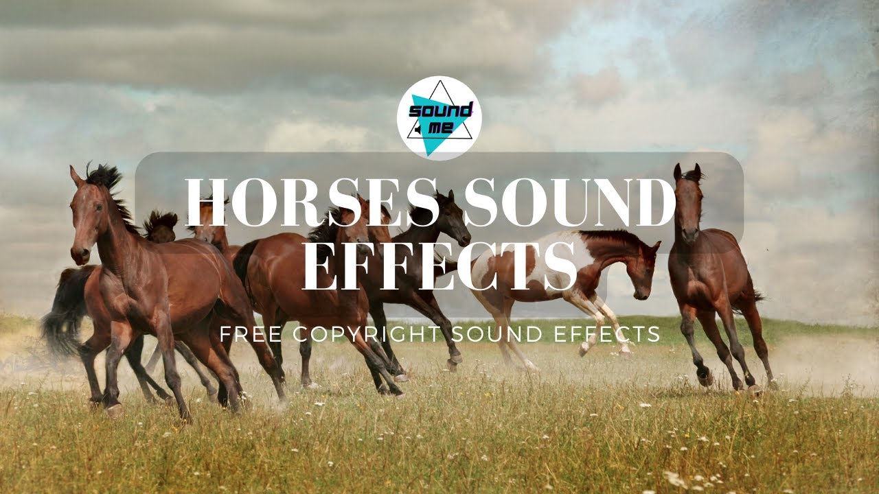 Horses sound effects Sounds Effects. FREE Copyright Sound Effects
