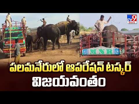 Operation Tusker  :  పలమనేరులో ఆపరేషన్ టస్కర్ విజయవంతం - TV9 - TV9