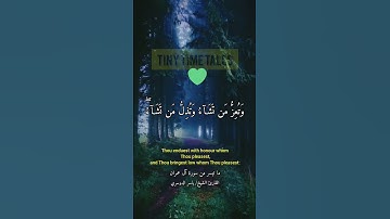 ما تيسر من سورة آل عمران #القرآن_الكريم #المصحف #اكسبلور #أحسن_التلاوات