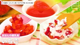 きほんの離乳食 いちご ゴックン期 モグモグ期 カミカミ期 Youtube