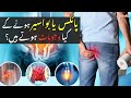 بواسیر کیا ہوتی ہے جانیئے بواسیر ہونے کے عام اسباب اور علامات بواسیر کیا ہوتی ہے جانیئے بواسیر ہونے کے عام اسباب اور علامات