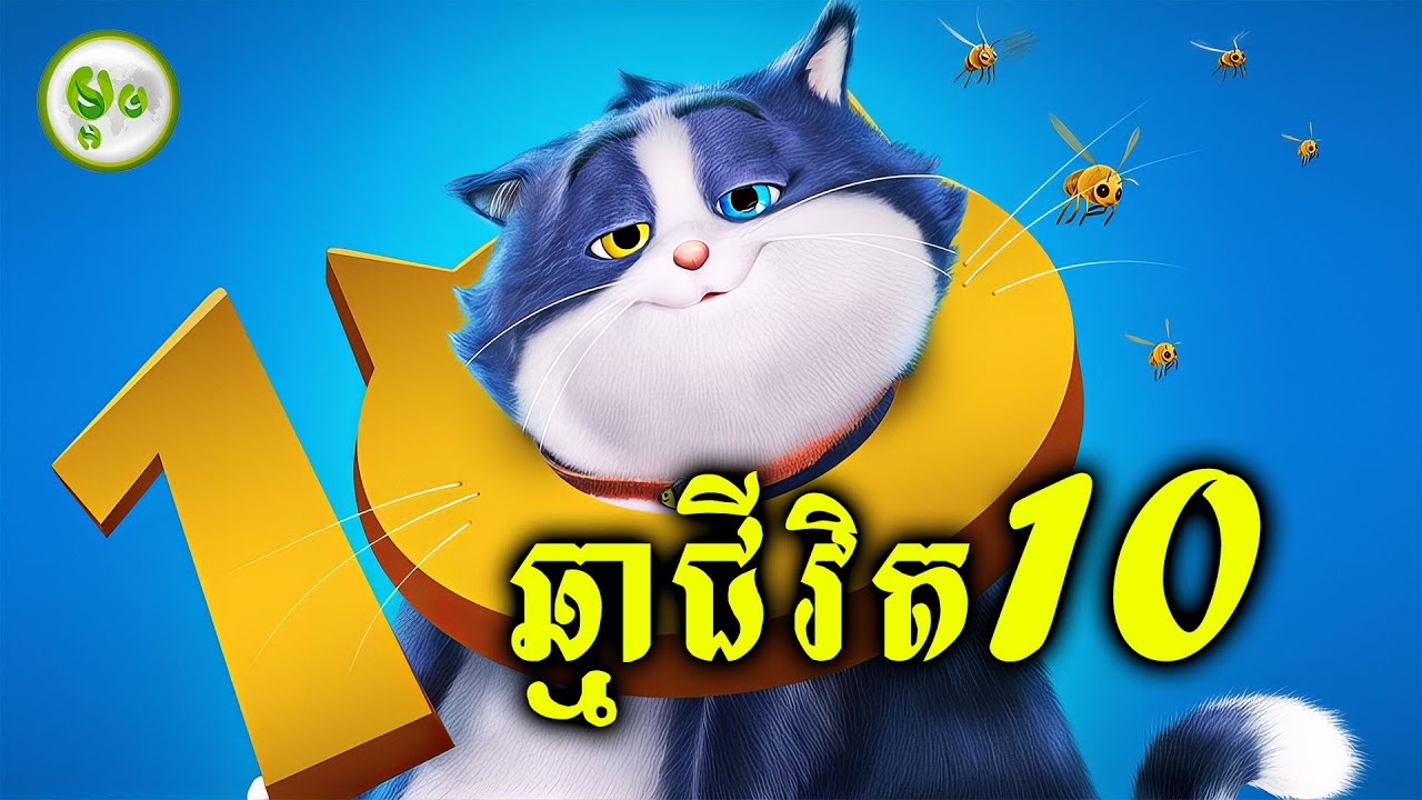 ឆ្មាជីវិត១០ | ម្អម សម្រាយរឿង