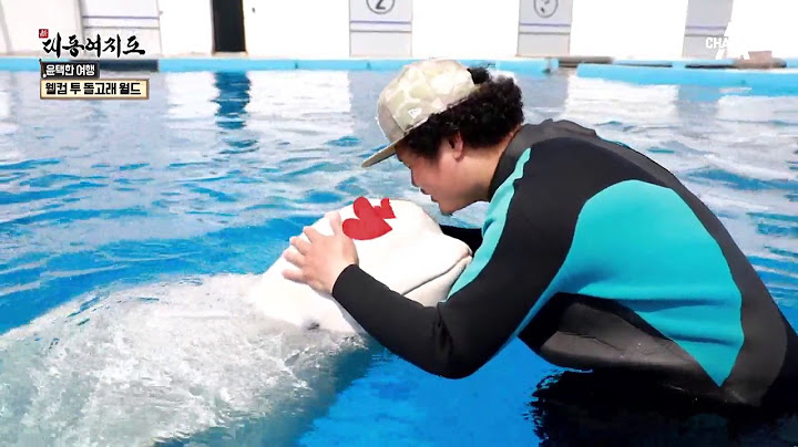 고래 휘슬음을 모방한 fsk 수중통신기법의 다중경로결합 수신 방법