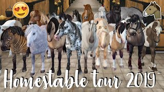 Ik heb 28 PAARDEN GEKOCHT! - Homestable Tour 2019 | Star Stable Online | Daphneee Ik heb 28 PAARDEN GEKOCHT! - Homestable Tour 2019 | Star Stable Online | Daphneee