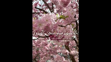 سورة البقره ايه 155-157 ماهر معيقلي #قران #ماهر_المعيقلي #مصحف #محمد