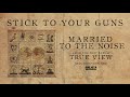 STICK TO YOUR GUNS - True View Full Album