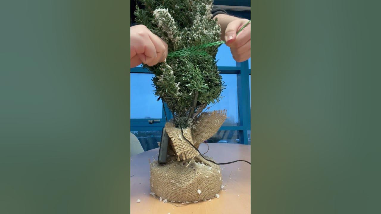 Easy way to get your tree back in the box! shorts lifehacks 