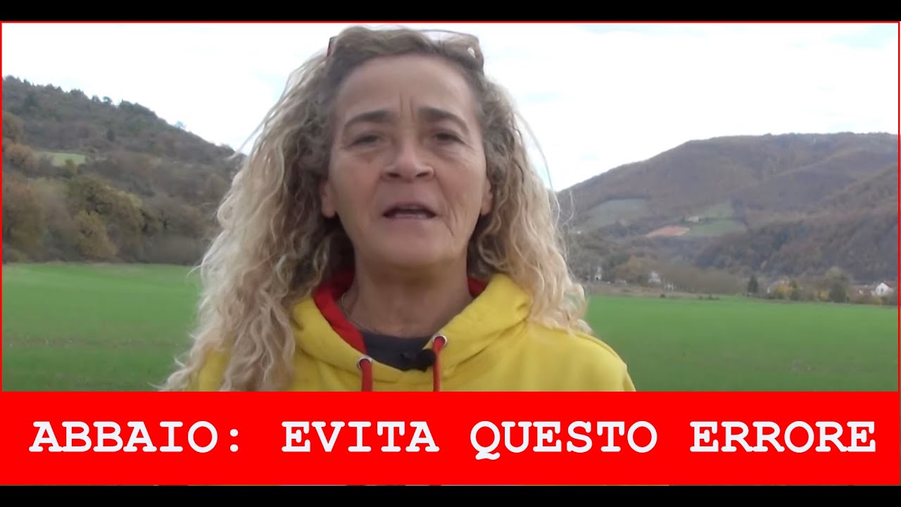 Cosa fare se il cane abbaia 