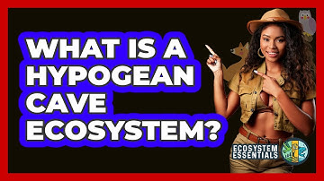 What Is A Hypogean Cave Ecosystem? - Ecosystem Essentials