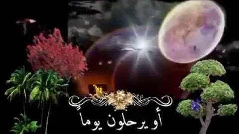 غدا ستكونوا ذكرى فقط : احذروا أن تخيطوا جروحكم قبل تنظيفها !!