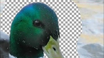 Working with the Fatline in VinylMaster