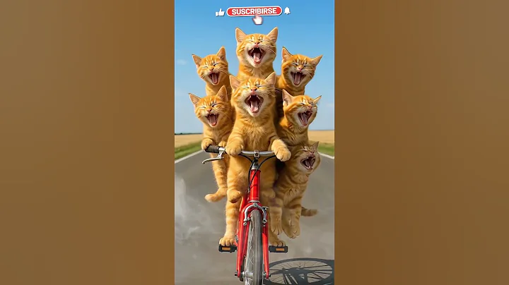 Cute cat 🐈🐈#cat #catvideo #funny #shorts #aicatstory #ai #aiart #shortsfeed #cartoon #viral #trend