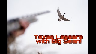 Everything is BIGGER in TEXAS!!! Except the Geese...