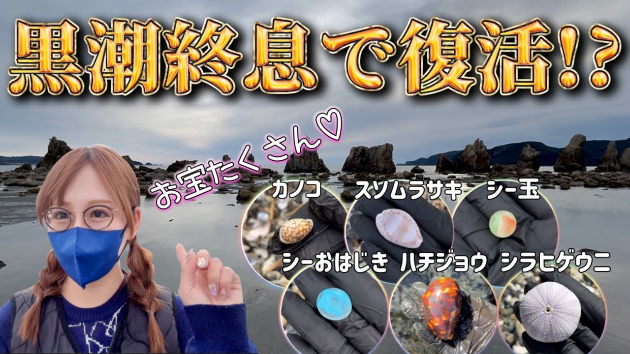 黒潮終息で聖地串本が復活！？