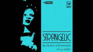 Clusters Of Fornication, S.J. Tucker  -  Strangelic (Songwitch Remix)