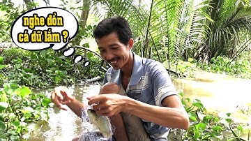 đi giăng lưới bắt cá miền tây và kết quả cười xỉu 😂😂 catch the fish NGÃ NĂM TV