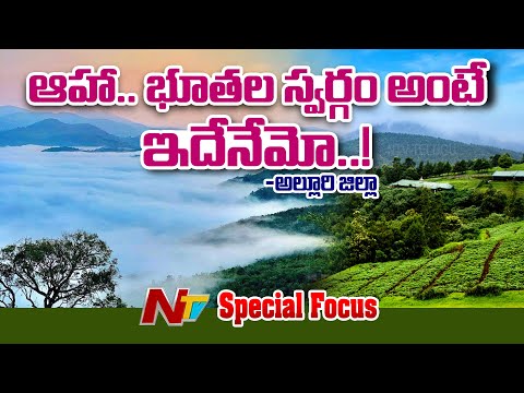 Andhra Ooty: ఆంధ్రా ఊటీ అందాలు అదరహో.. చూసొద్దామా..! | Araku | NTV Telugu - NTVTELUGU