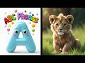 ABCs of Colors: From Amber to Zebra’s Black Stripes