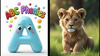 ABCs of Colors: From Amber to Zebra’s Black Stripes
