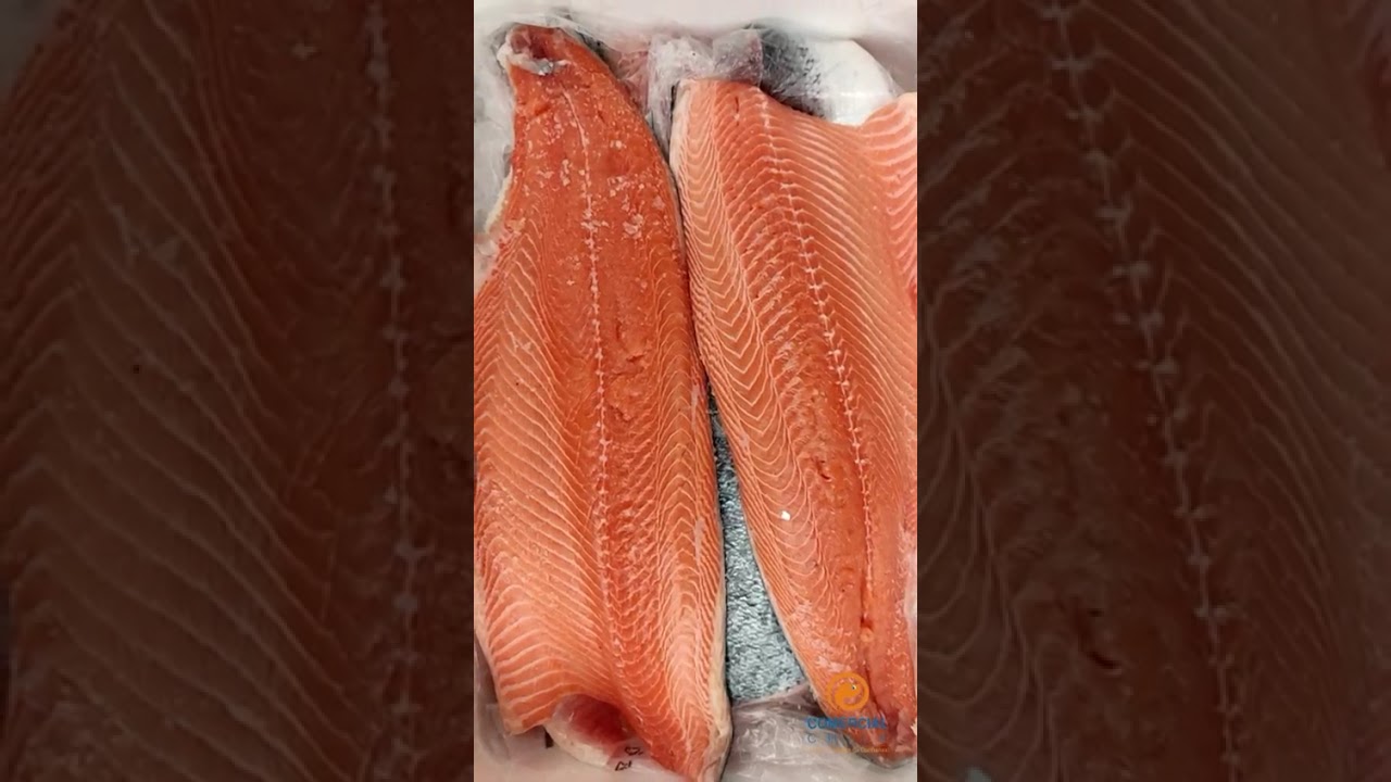 Salmón Fresco Premium | Calibre 3–4 Trim D | Comercial Tranmar Chile