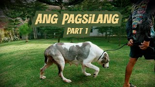 Ang Pagsilang  Part 1