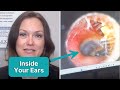 What Audiologists Look For Inside Your Ears | The Flex Audiology Show Ep. 33