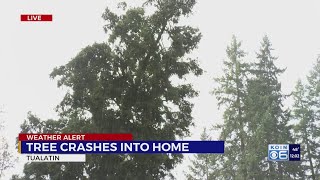 Tree crashes into Tualatin home during powerful wind storm