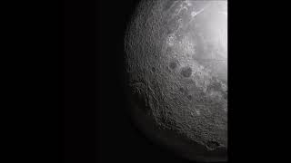 Perel - Die Dimension (Dub Version) [DFA RECORDS]