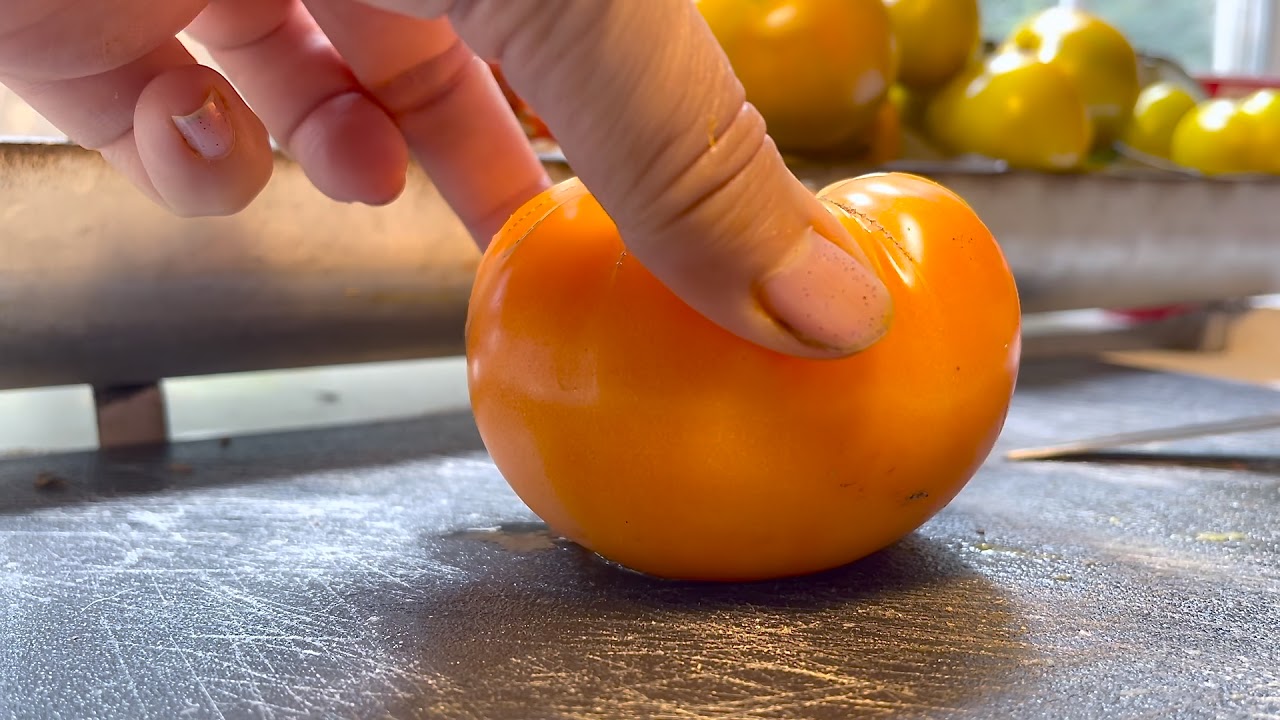 Apricot Brandywine Heirloom Tomato Seeds – Grow Your Health