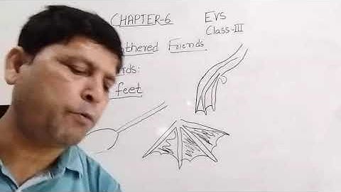 Class III EVS 13 08 2021 by Mr Rupesh Chapter 6 Birds Our Feathered Friends