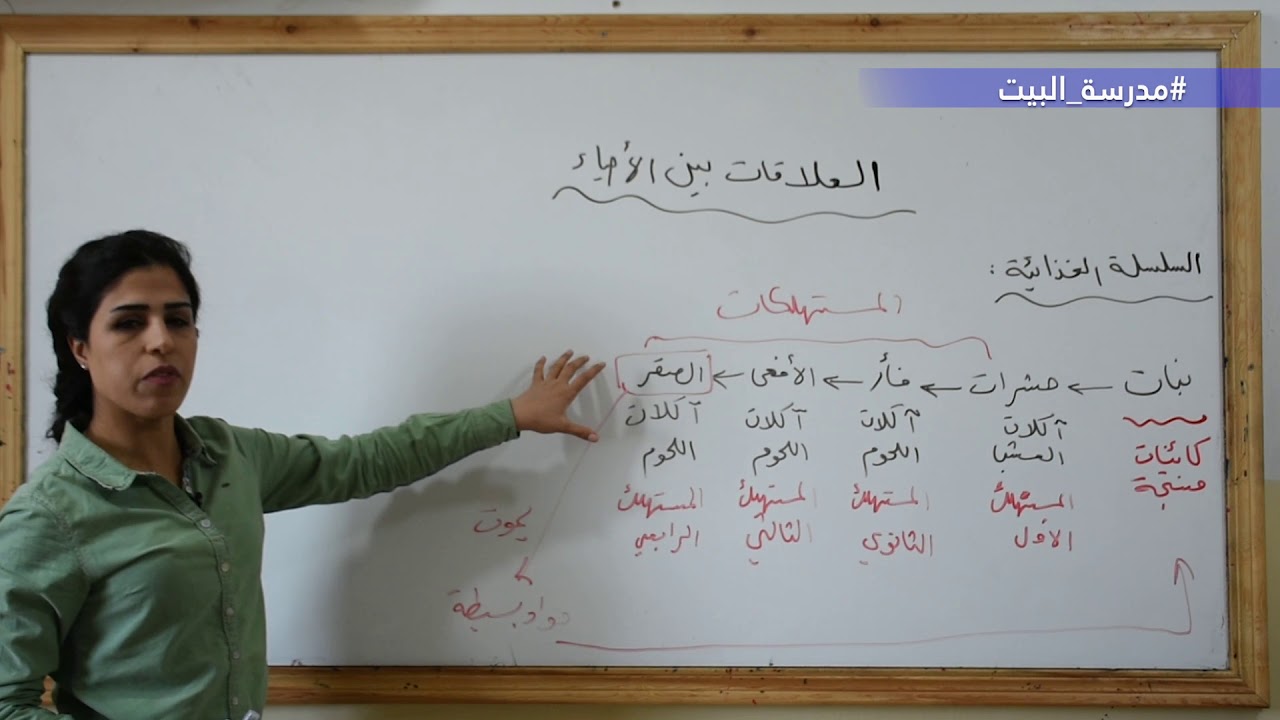 الصف  11    علم الحياة     الوحدة  4    العلاقات بين الأحياء