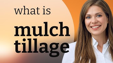 Understanding "Mulch Tillage": A Guide for English Learners