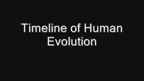 Incredible Animation Shows How Humans Evolved From Early Life