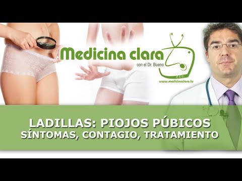 como eliminar el piojo pubico