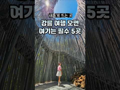 강릉 여행 오면 여기는 필수 🌊 SNS에서 난리 난 강릉 필수 여행 코스 가볼만한곳: 등명해변 기찻길, 하슬라 아트월드, 정동진 당일치기