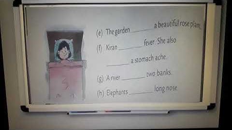 Class -2, English Grammar Ch-12 Lecture-1 (has ,have ,had)