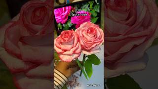 DIY napkin rose | how to make rose tutorial |easy flower diy #handmaderoses #viraldiy #diyflowers